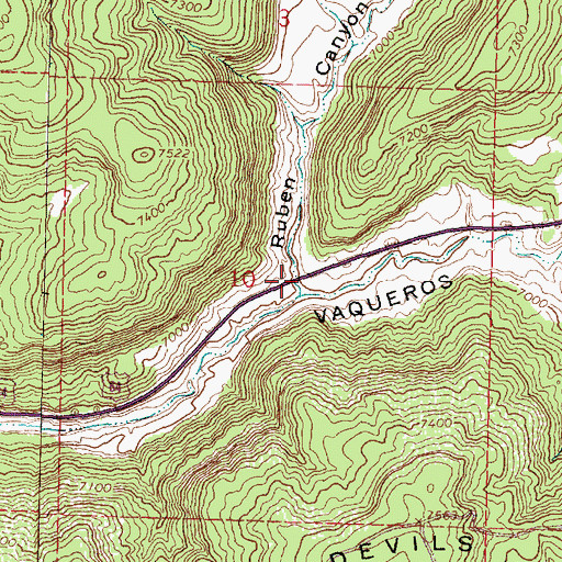Topographic Map of Ruben Canyon, NM