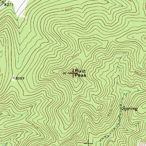 Topographic Map of Ruiz Peak, NM