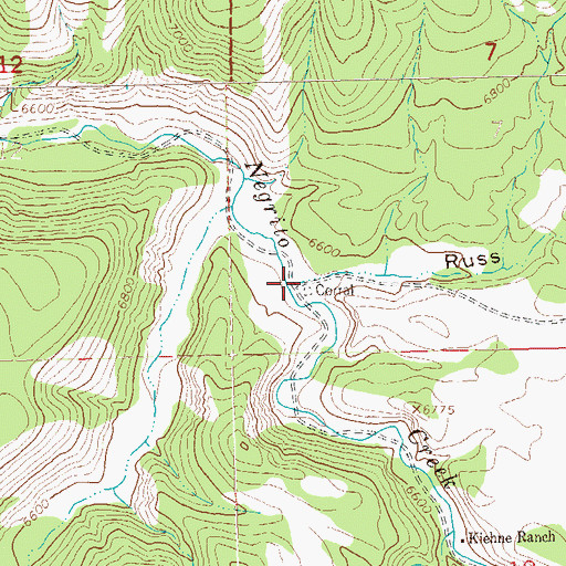 Topographic Map of Russ Canyon, NM