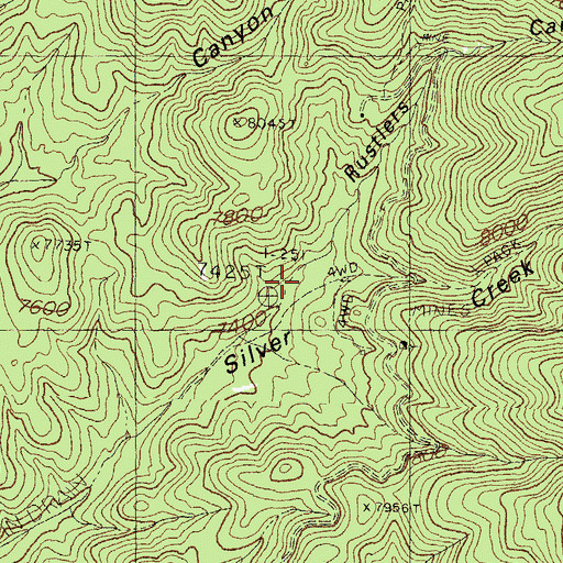 Topographic Map of Rustlers Canyon, NM
