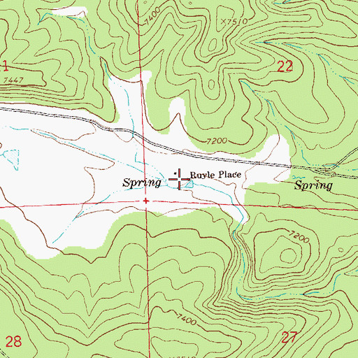 Topographic Map of Ruyle Place, NM