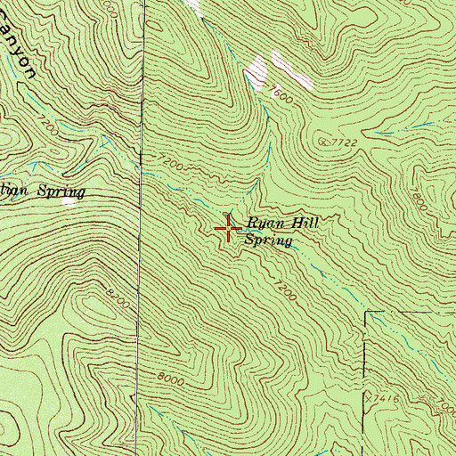 Topographic Map of Ryan Hill Spring, NM
