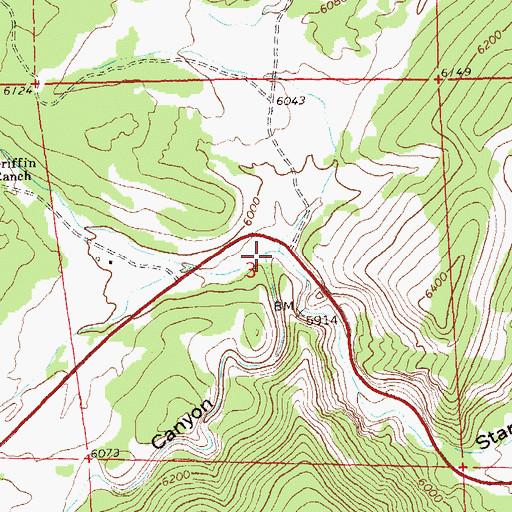 Topographic Map of S U Canyon, NM