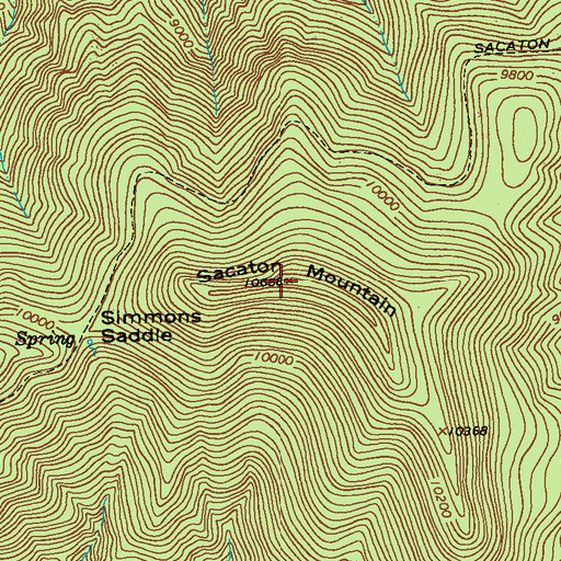 Topographic Map of Sacaton Mountain, NM