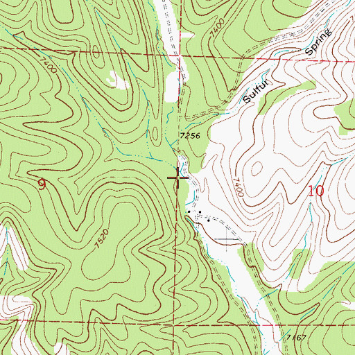 Topographic Map of Sacramento Canyon, NM