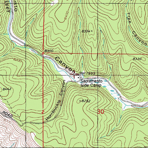 Topographic Map of Sacramento Side Camp, NM