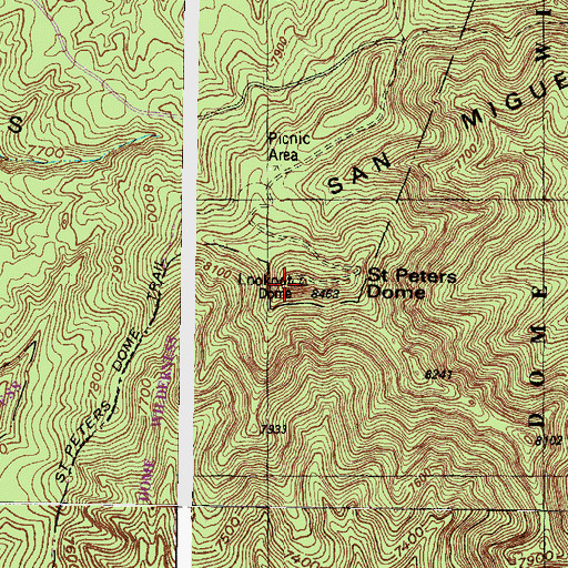 Topographic Map of Saint Peters Dome, NM