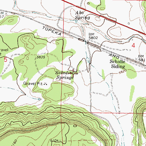 Topographic Map of Saladito Springs, NM