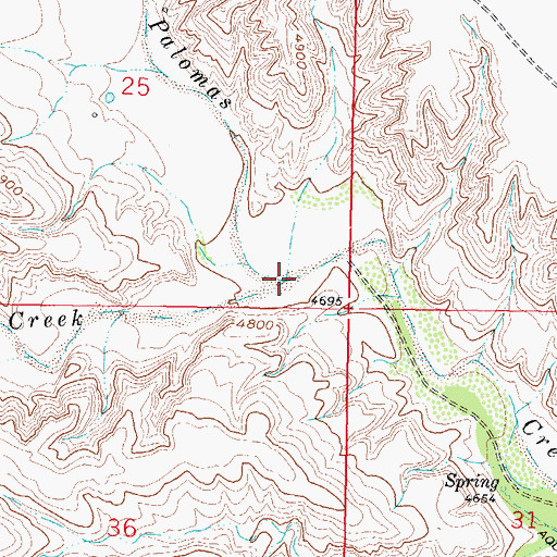 Topographic Map of Salado Creek, NM