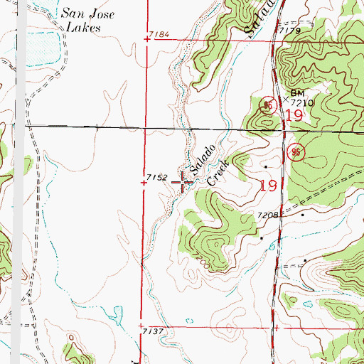 Topographic Map of Salado Creek, NM