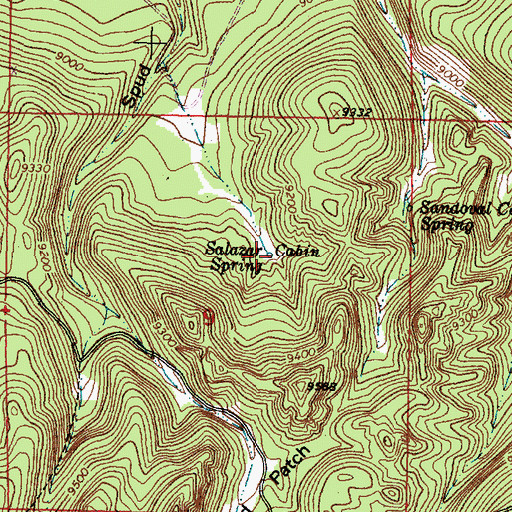 Topographic Map of Salazar Spring, NM
