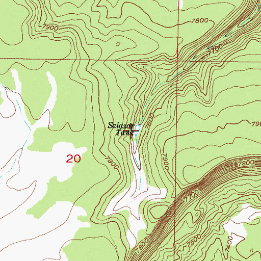 Topographic Map of Salazar Tank, NM