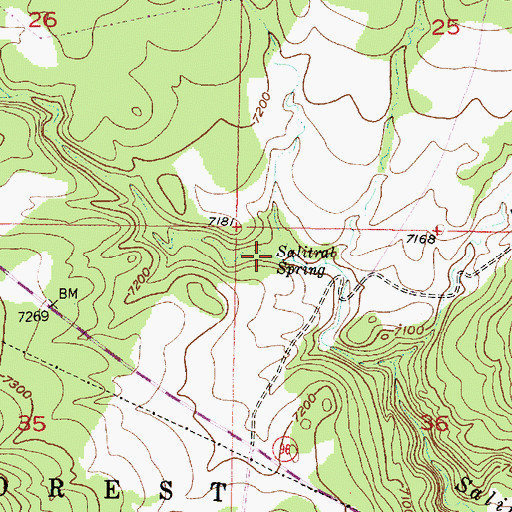 Topographic Map of Salitral Spring, NM