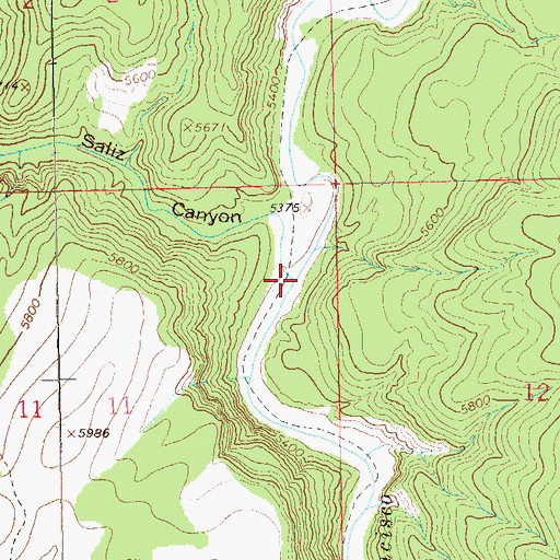 Topographic Map of Saliz Canyon, NM