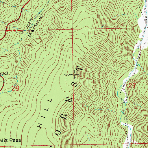 Topographic Map of Saliz Hill, NM