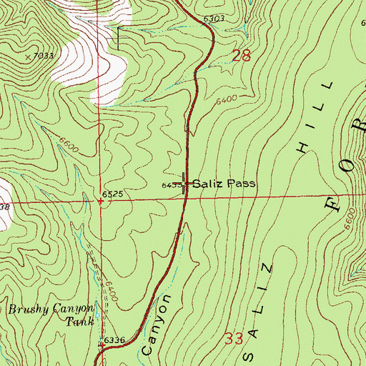 Topographic Map of Saliz Pass, NM