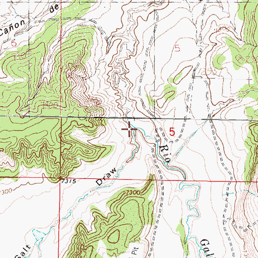 Topographic Map of Salt Draw, NM