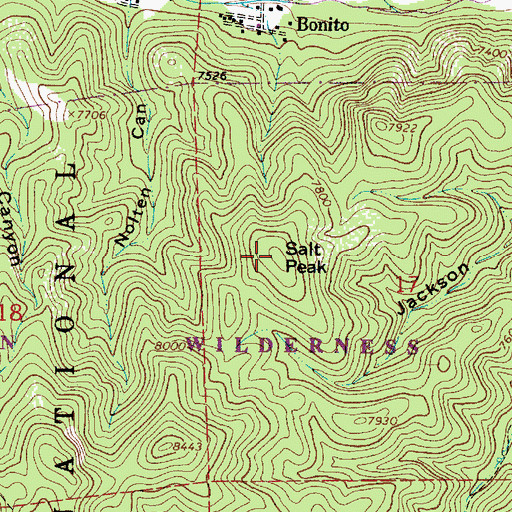 Topographic Map of Salt Peak, NM