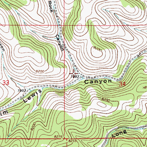 Topographic Map of Salt Rock Canyon, NM