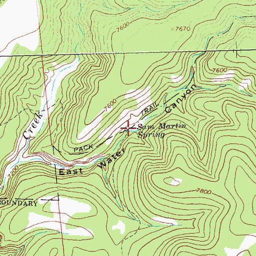 Topographic Map of Sam Martin Spring, NM