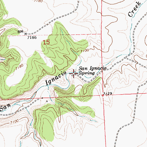 Topographic Map of San Ignacio Spring, NM