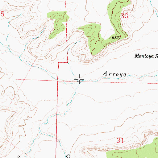 Topographic Map of San Isidro Arroyo, NM
