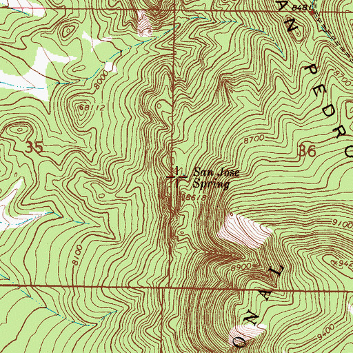 Topographic Map of San Jose Spring, NM