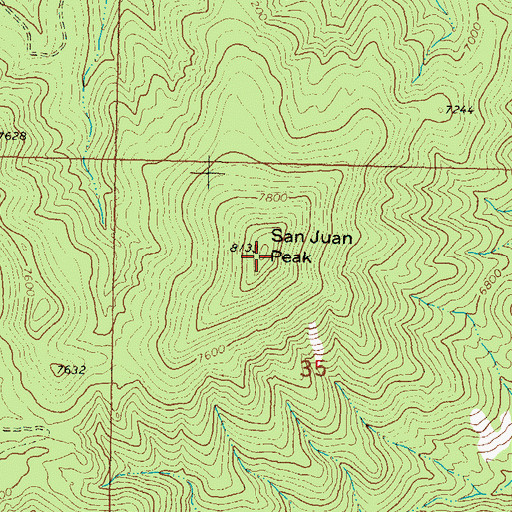 Topographic Map of San Juan Peak, NM