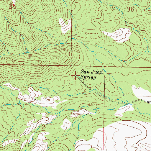 Topographic Map of San Juan Spring, NM