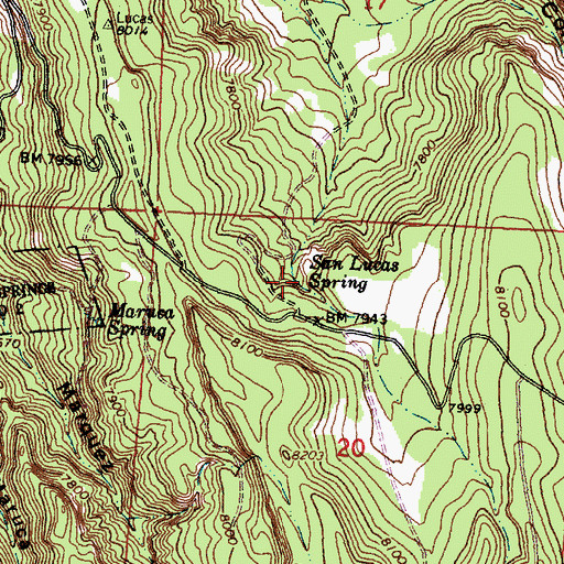 Topographic Map of San Lucas Spring, NM