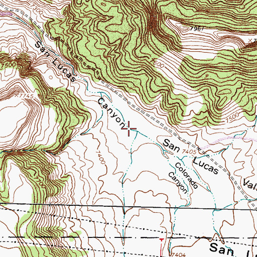Topographic Map of San Lucas Valley, NM