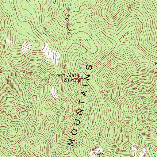 Topographic Map of San Mateo Spring, NM