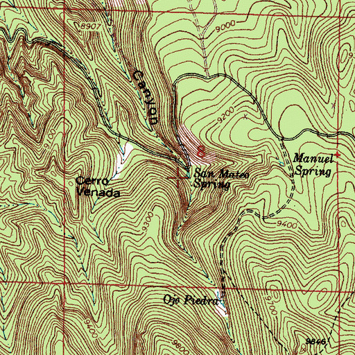 Topographic Map of San Mateo Spring, NM