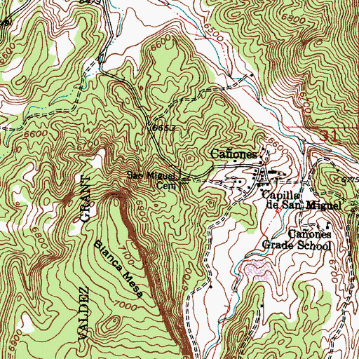 Topographic Map of San Miguel Cemetery, NM