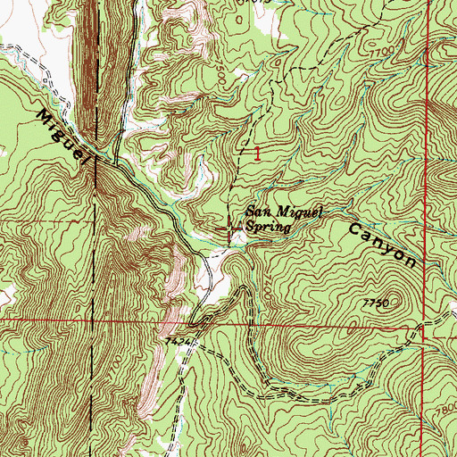 Topographic Map of San Miguel Spring, NM
