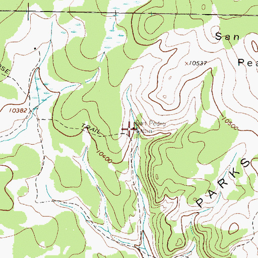 Topographic Map of San Pedro Cabin, NM