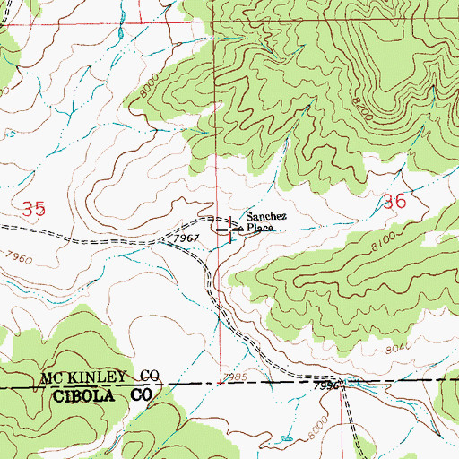 Topographic Map of Sanchez Place, NM