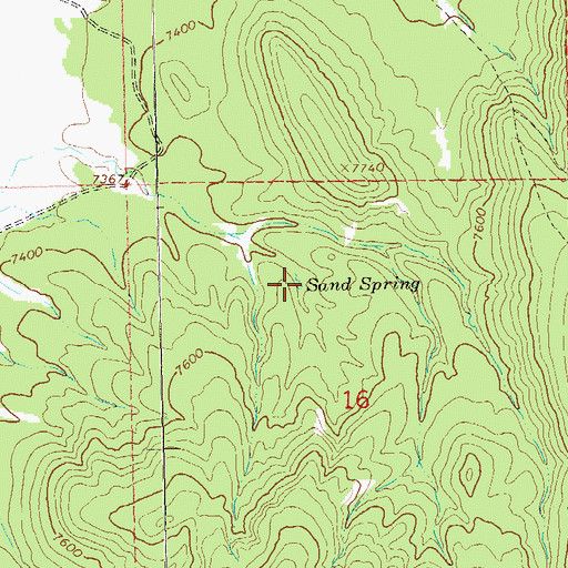 Topographic Map of Sand Spring, NM