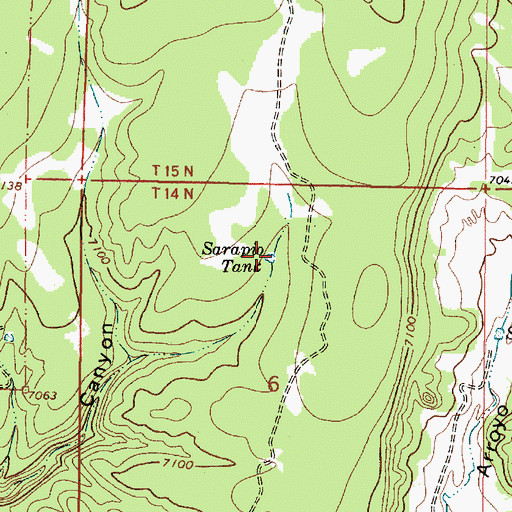 Topographic Map of Sarapio Tank, NM