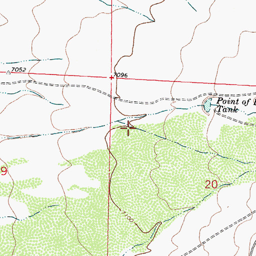 Topographic Map of Sargent Canyon, NM