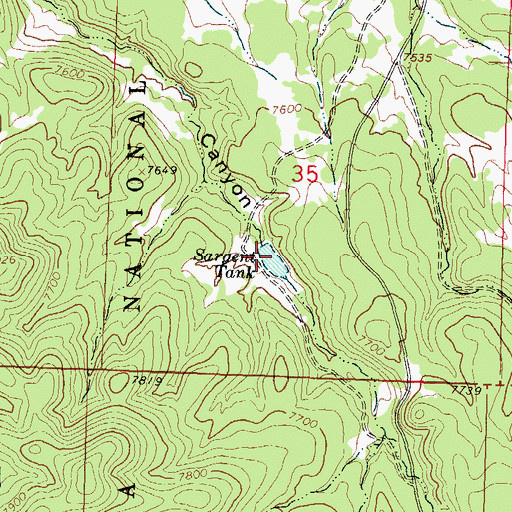 Topographic Map of Sargent Tank, NM