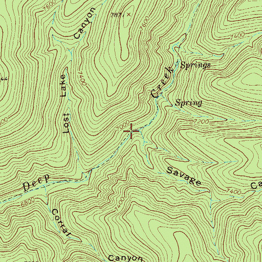 Topographic Map of Savage Canyon, NM