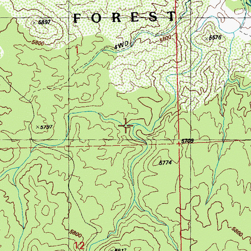 Topographic Map of Sawmill Canyon, NM