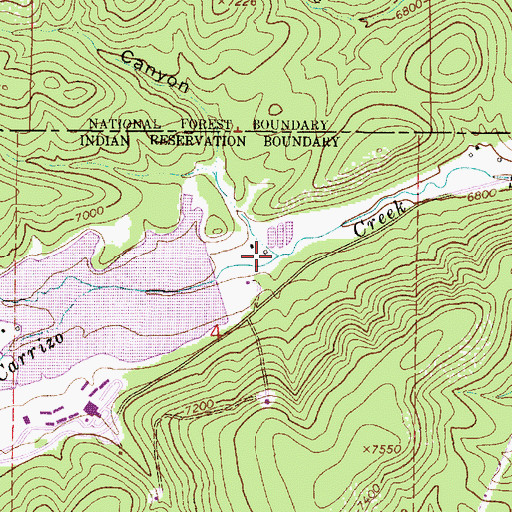 Topographic Map of Sawmill Canyon, NM