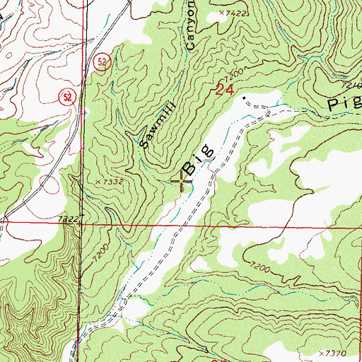 Topographic Map of Sawmill Canyon, NM