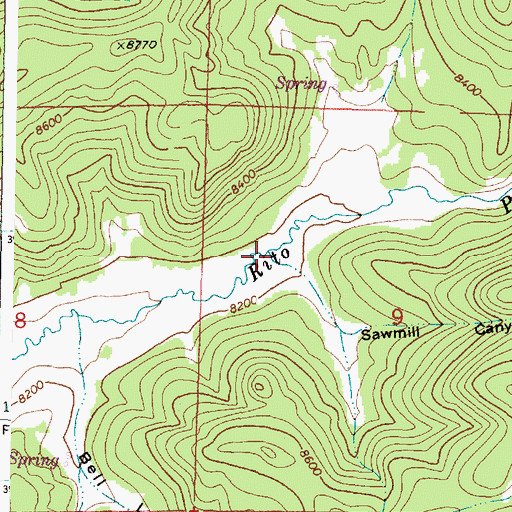 Topographic Map of Sawmill Canyon, NM