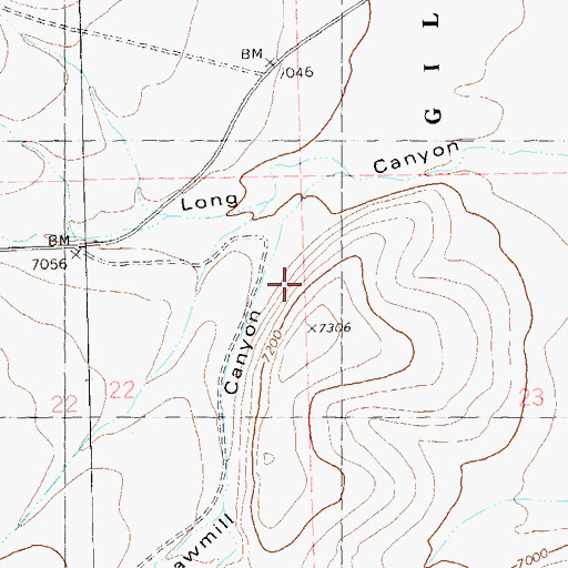 Topographic Map of Sawmill Canyon, NM