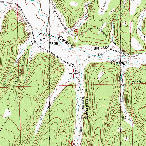 Topographic Map of Sawmill Canyon, NM