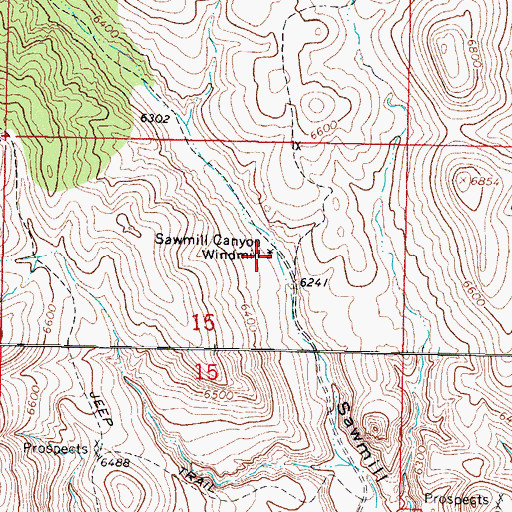 Topographic Map of Sawmill Canyon Windmill, NM