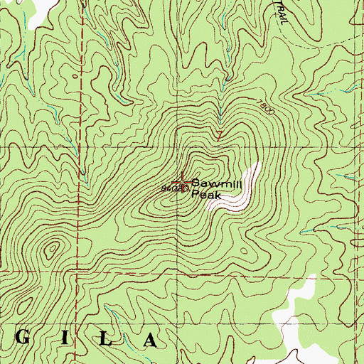 Topographic Map of Sawmill Peak, NM